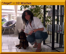 Angel_100002a.jpg