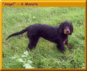 Angel_240002a.jpg
