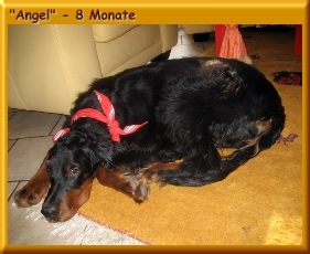 Angel_320001a.jpg