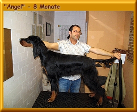 Angel_320002a.jpg