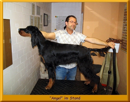 Angel_320002b.jpg