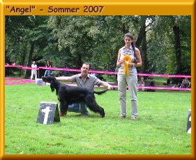 Angel_340002a.jpg