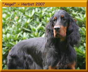 Angel_410001a.jpg