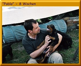 Pablo_080002a.jpg