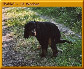 Pablo_130001a.jpg