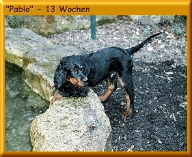 Pablo_130002a.jpg
