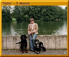 Pablo_200001a.jpg
