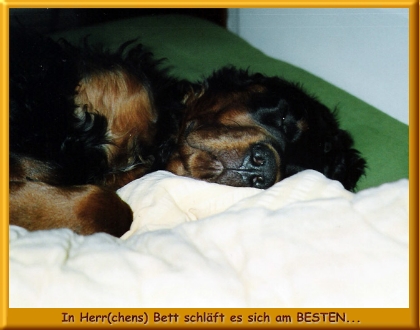 Pluto_140003b.jpg