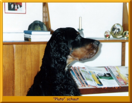 Pluto_320001b.jpg