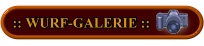 :: Wurf-Galerie ::