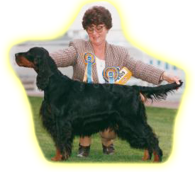LIRIC Gordon Setters (EST 1976) LIRIC Gordon Setters (EST 1976)